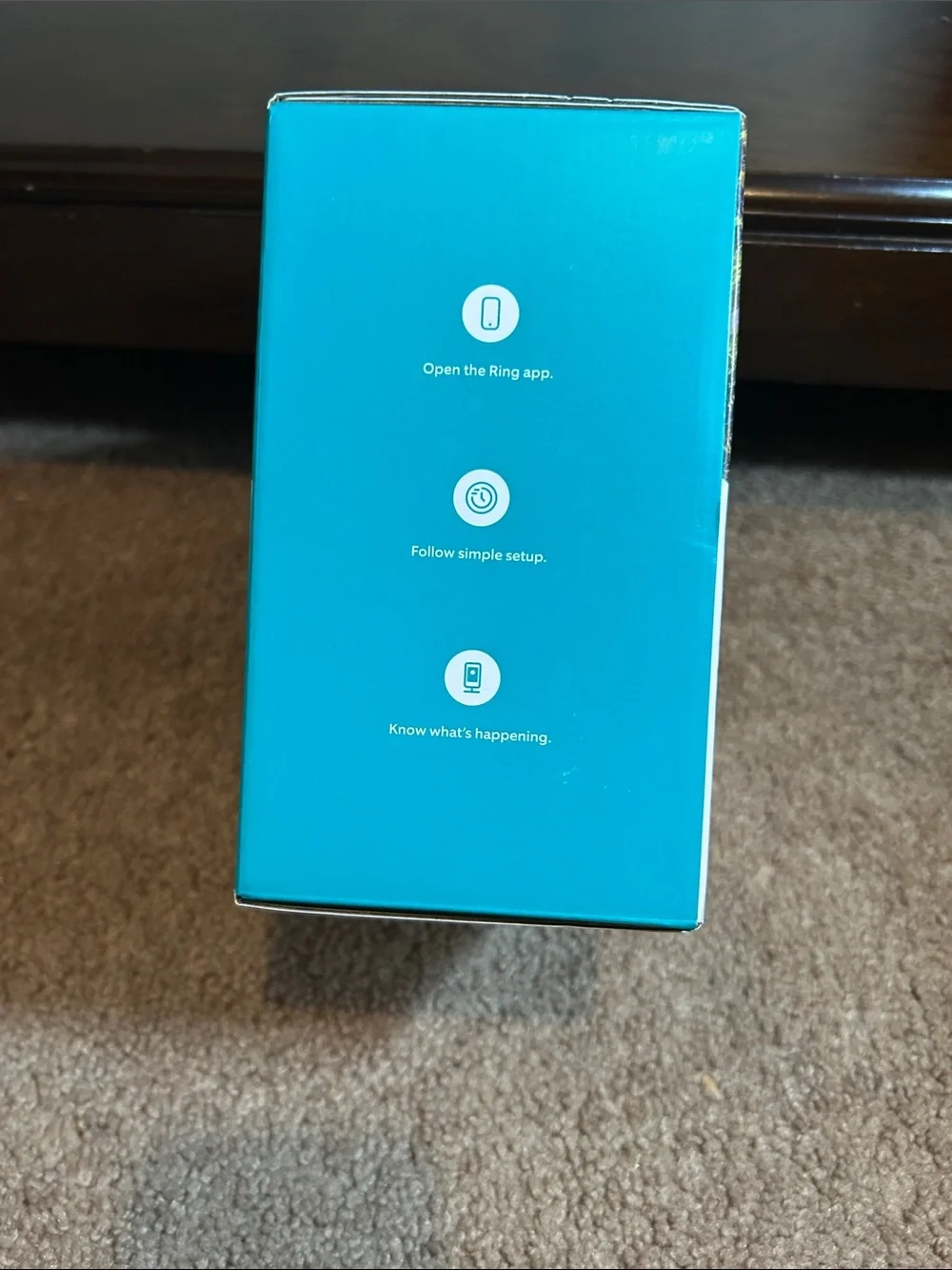 Ring Outdoor Cam Plus - Teal and Silver Packaging